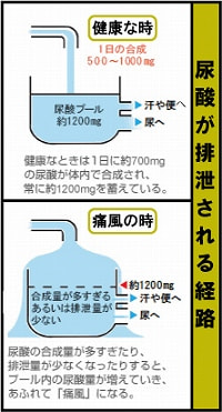 尿酸プール図